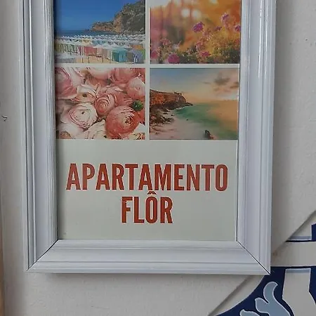 Avos-flor Nazare